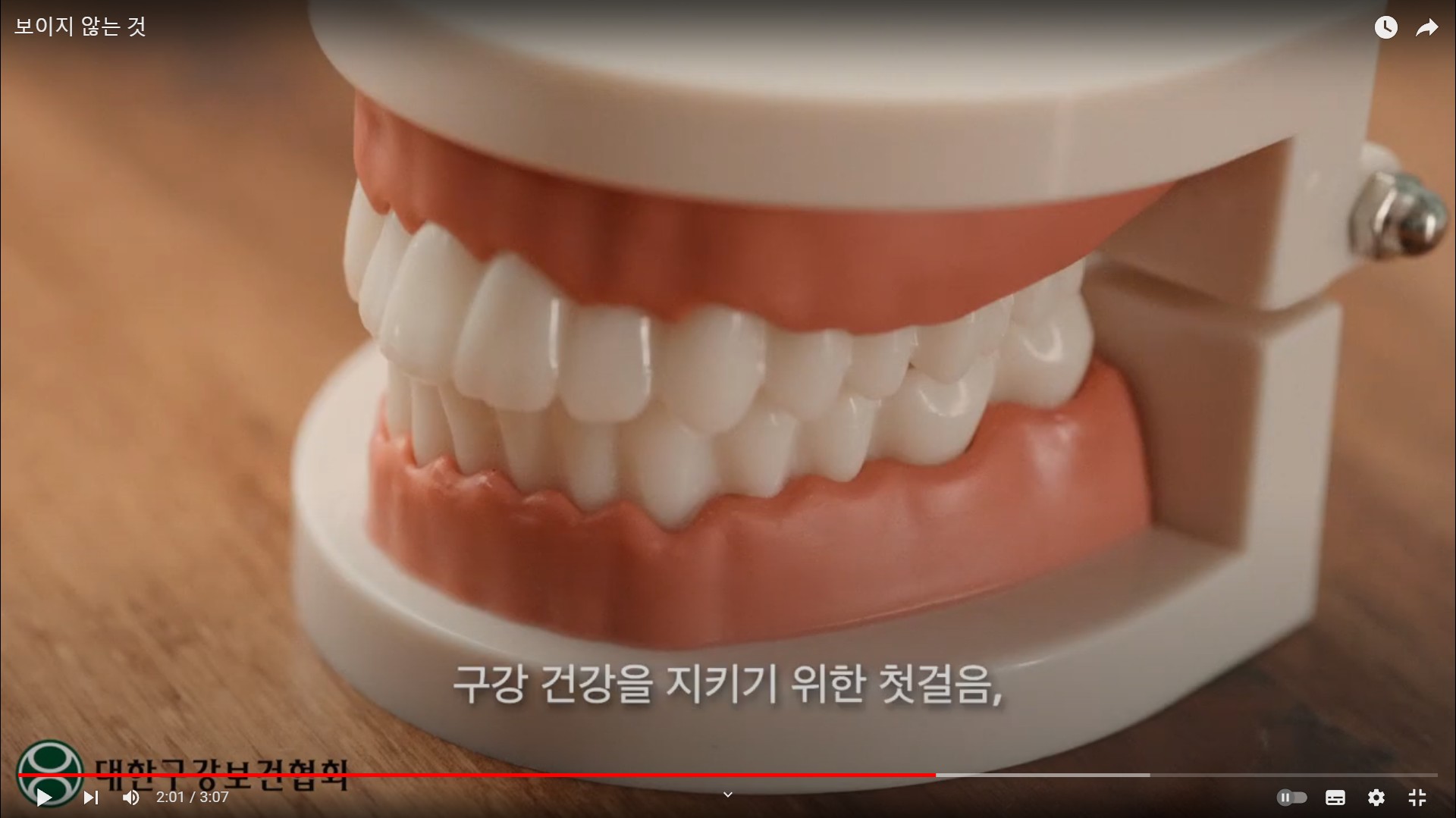 치아건강 이딱기